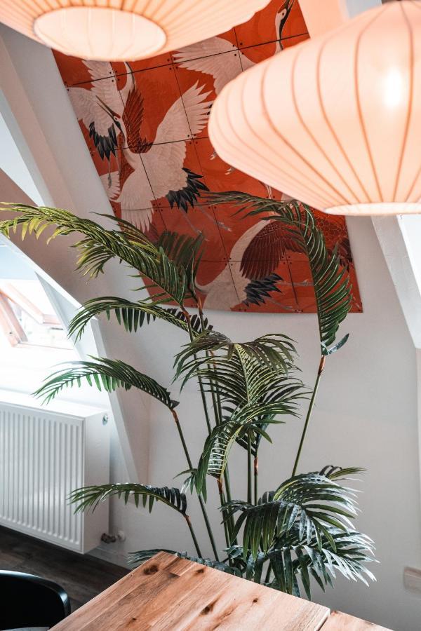 Casa Coral - A Hidden Gem For Families Daire Groningen Dış mekan fotoğraf
